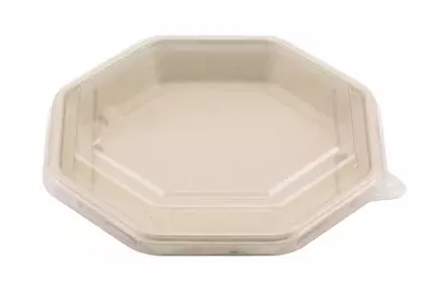 Assiette en pulpe de canne � sucre