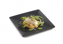 Assiette réutilisable noir ou ivroire plastique