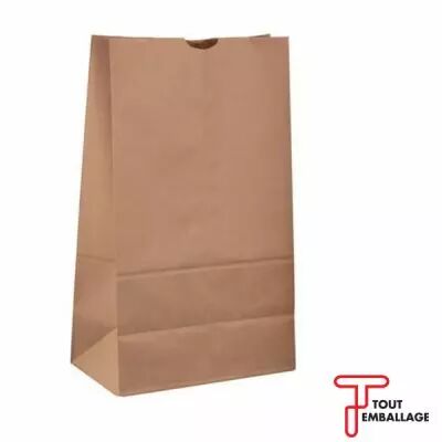 Sac kraft brun 1 feuille � encoche